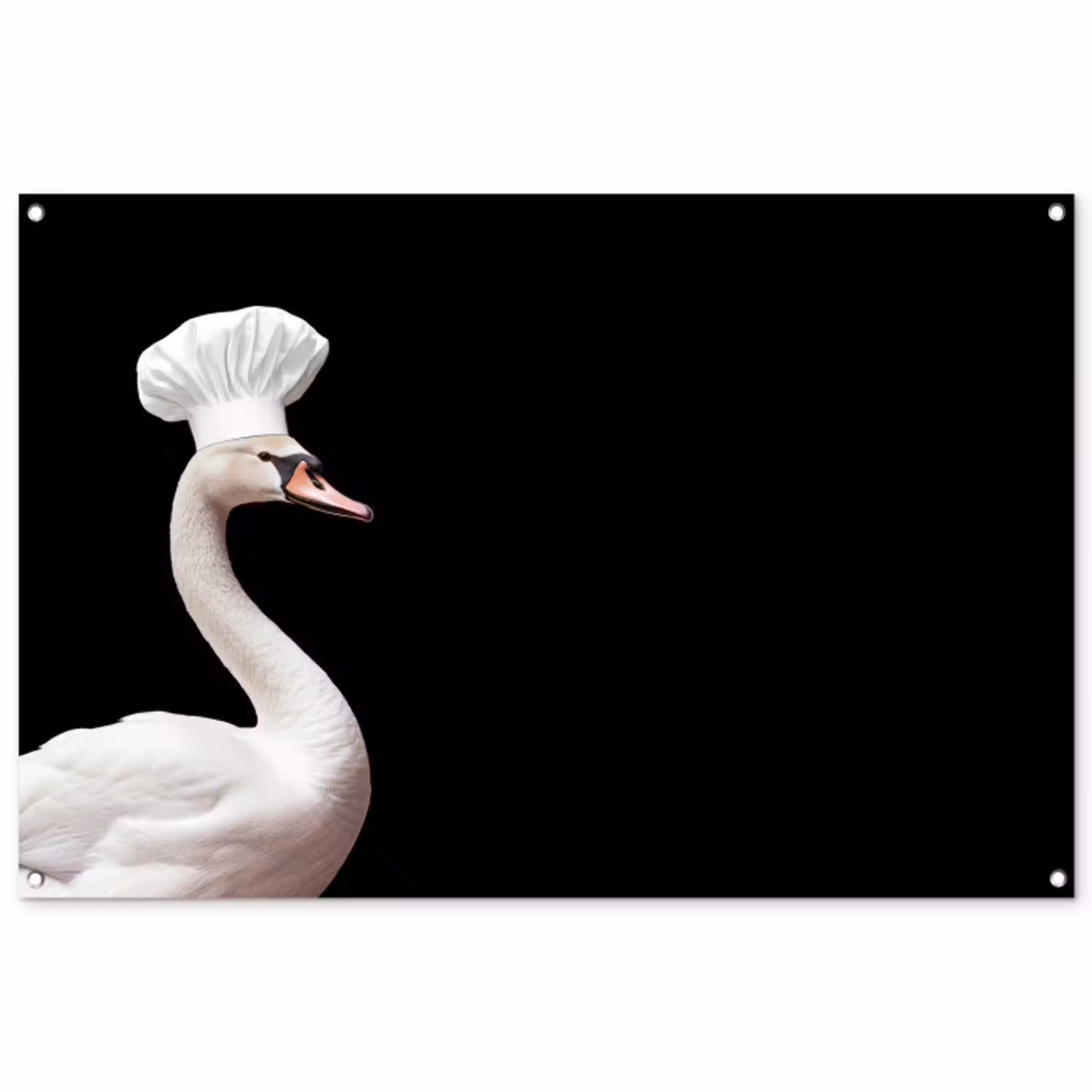 zwaan-3-2-gigapixel-standard-v2-2x tuinposter los doek groot -3d