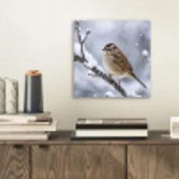 Vogel - Tak - Sneeuw - Winter aluminium wit klein -sfeer1
