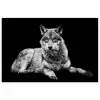 Wilde dieren - Wolf - Zwart - Wit poster papier klein -3d
