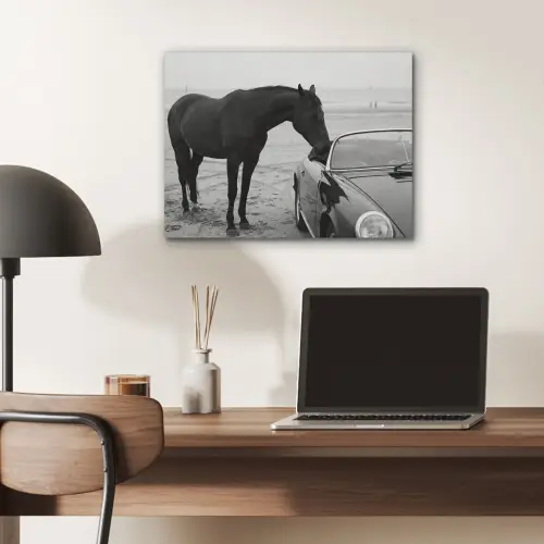Paard - Auto - Zwart - Wit PET vilt klein -sfeer5
