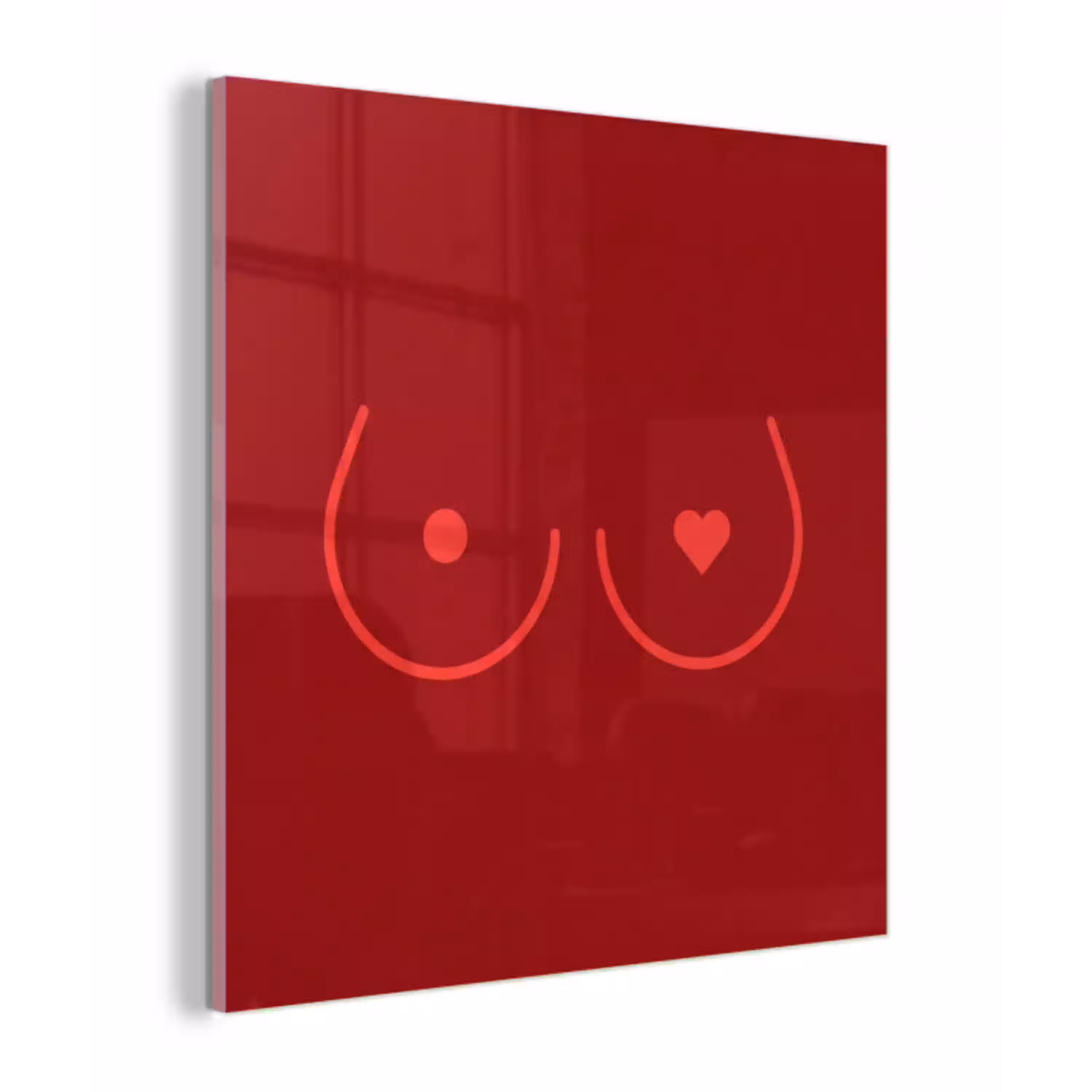 Minimalistisch - Lijnillustratie - Rood plexiglas 5mm klein -z3d
