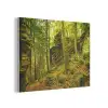 Bomen - Steen - Bos - Natuur - Planten PET vilt klein -3d