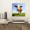 Koe - Dieren - Bloemen - Gras aluminium wit klein -sfeer1