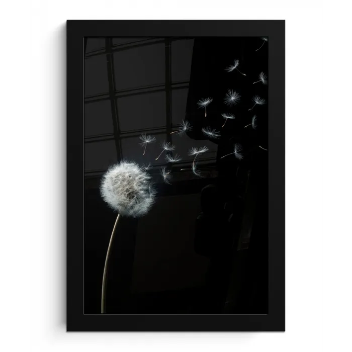 Paardenbloem - Zwart - Natuur fotolijst zwart zonder passe partout klein -3d