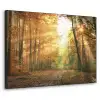 Bos - Herfst - Zon - Landschap - Natuur - Bomen - Bladeren Textielframe - compleet frame klein -3d
