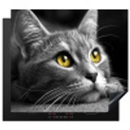 Blik van Goud Inductie beschermer vinyl 3mm middel -3d