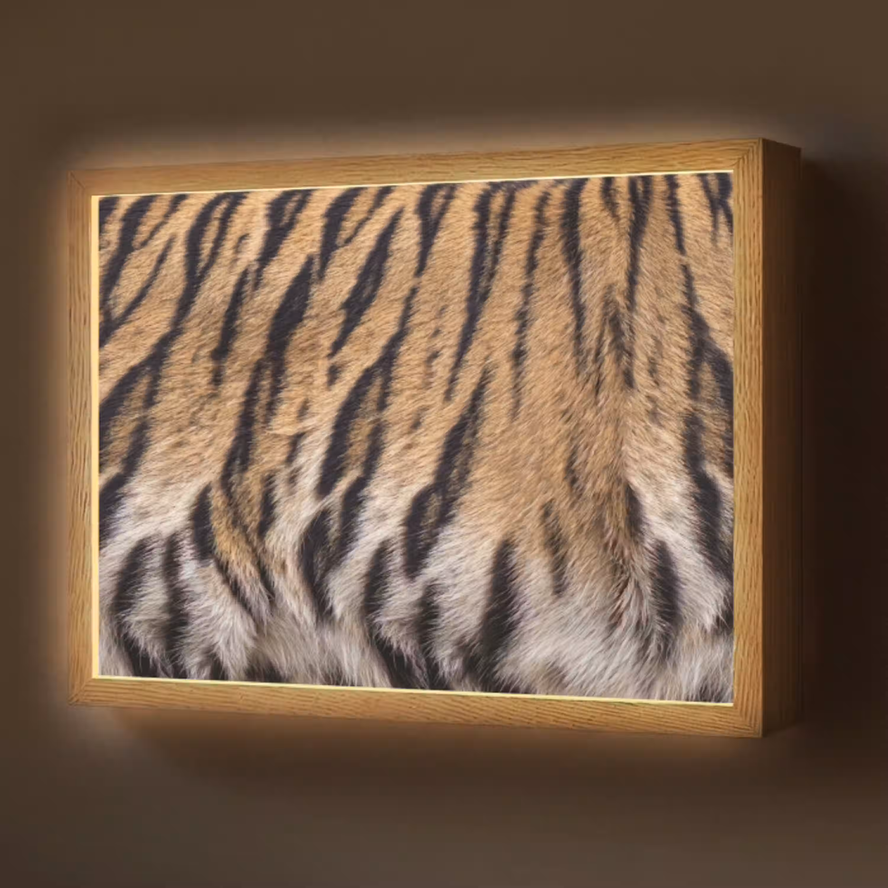 Tijgervacht - Klassiek - Zwart Light Box met batterij (Wandlamp) middel -z3d_website