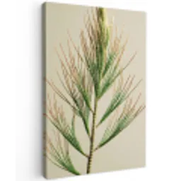Dennentak - Naaldvormige bladeren - Lichtgroen Tuinposter op houten frame 2 cm dik klein -3d