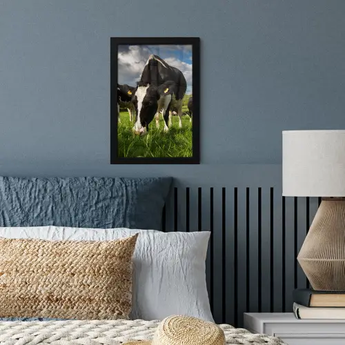 Koeien - Dieren - Gras - Weiland - Boerderij fotolijst zwart zonder passe partout klein -sfeer3