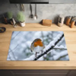 Roodborstje - Tak - Sneeuw - Winter - Levendig Inductie beschermer vinyl 3mm klein -sfeer5