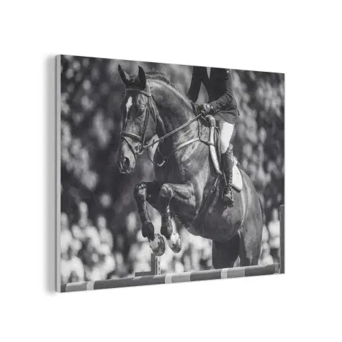 Springen - Paard - Zwart - Wit PET vilt klein -3d