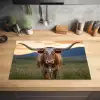 Longhorn - Landschap - Zonsondergang Inductie beschermer vinyl 3mm klein -sfeer5
