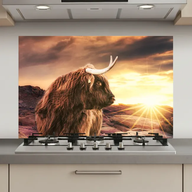 Schotse hooglander - Zon - Horizon - Koe - Dieren keuken achterwand spatscherm klein -3d_website