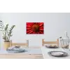 Close up - Bloem- Rood Muursticker klein -eettafel