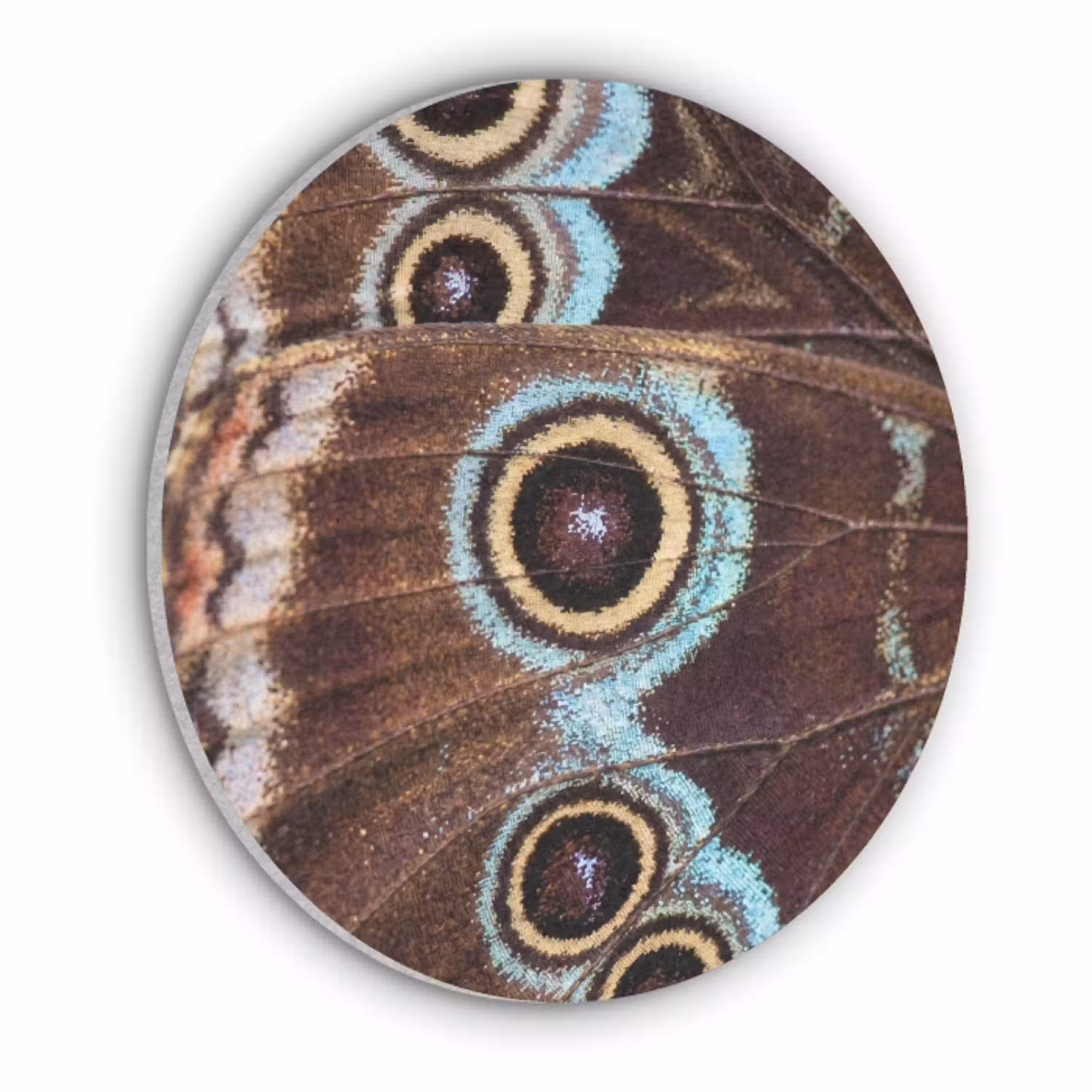 Vleugels - Vlinder - Blauw Akoestische PET Vilt - Rond klein -3d