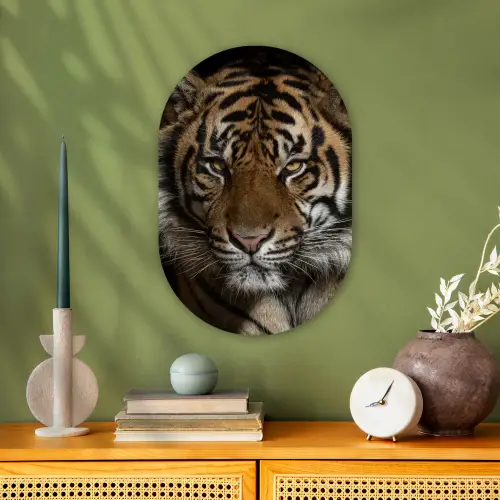 Tijger - Wilde dieren - Portret Wandcirkel Ovaal Forex klein -sfeer2