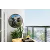Doorkijk - Koe - Weiland - Dieren - Natuur Wandcirkel tuinposter met ringen klein -buiten1