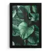 Jungle - Bladeren - Tropisch - Planten - Natuur fotolijst zwart zonder passe partout klein -3d