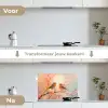 Roodborstjes - Sierlijk - Bloesemtak keuken achterwand spatscherm klein -voor_na_NL