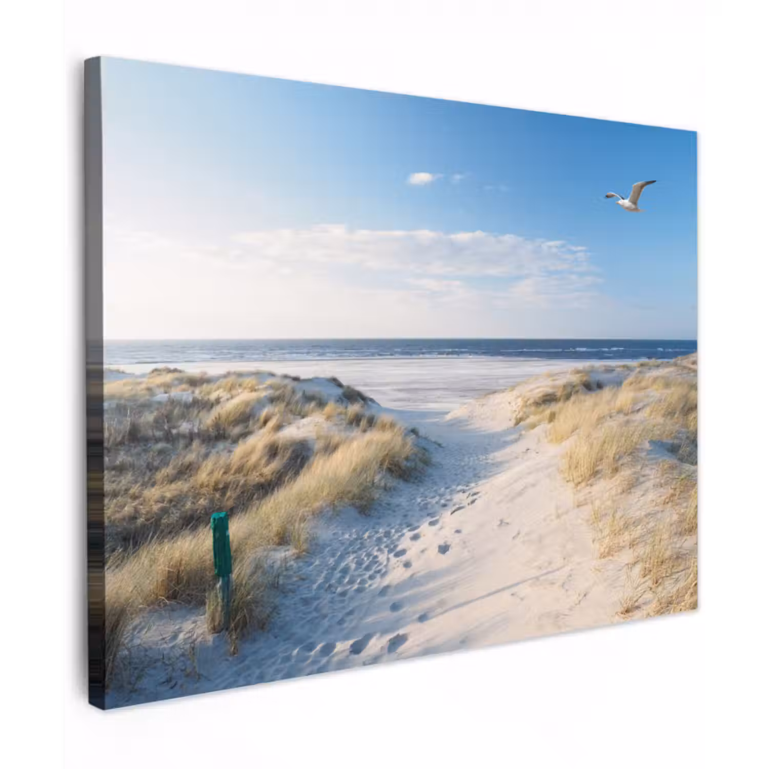 Leinwandbild - Düne - Möwe - Strand - Meer - Sonne