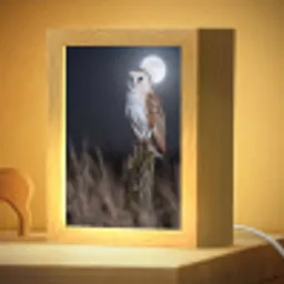 Kerkuil - Maan - Nacht Light Box met kabel (Kinderlampje) klein -zzzz_3d_website