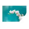 Orchidee - Bloemen - Plant - Wit - Paars Muursticker klein -3d
