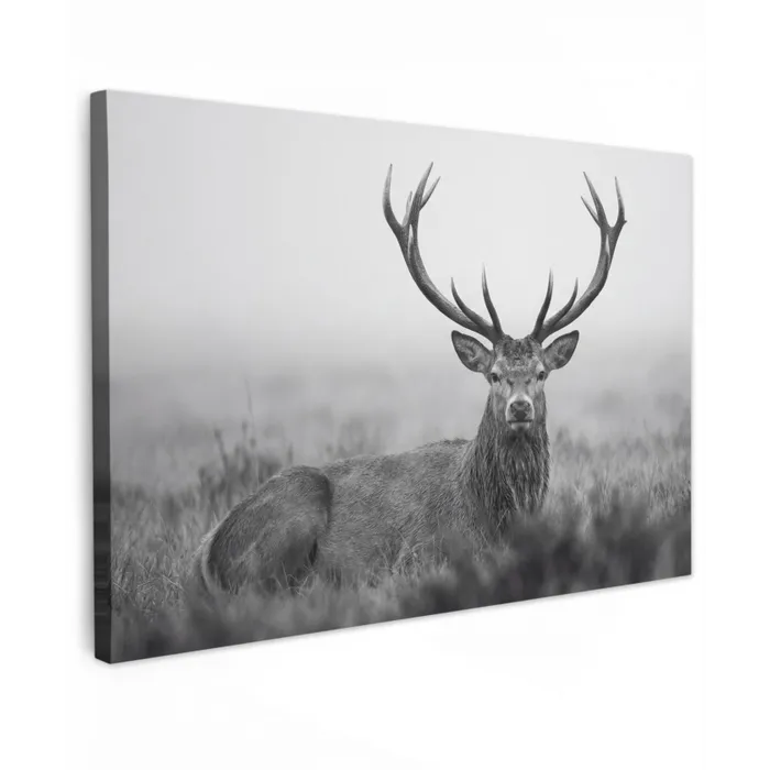 Hert - Mistig - Zwart - Wit canvas 2cm klein -z3d