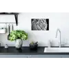 Portret - Leeuw - Zwart wit Muursticker klein -keuken