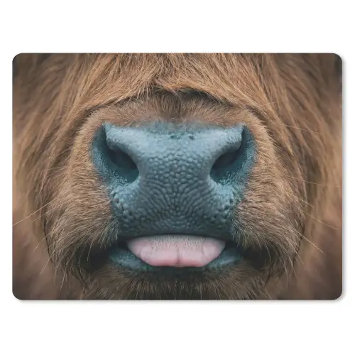 Schotse hooglander - Neus - Bruin muismat rubber klein -3d