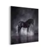 Paard - Magisch - Zwart aluminium wit klein -3d