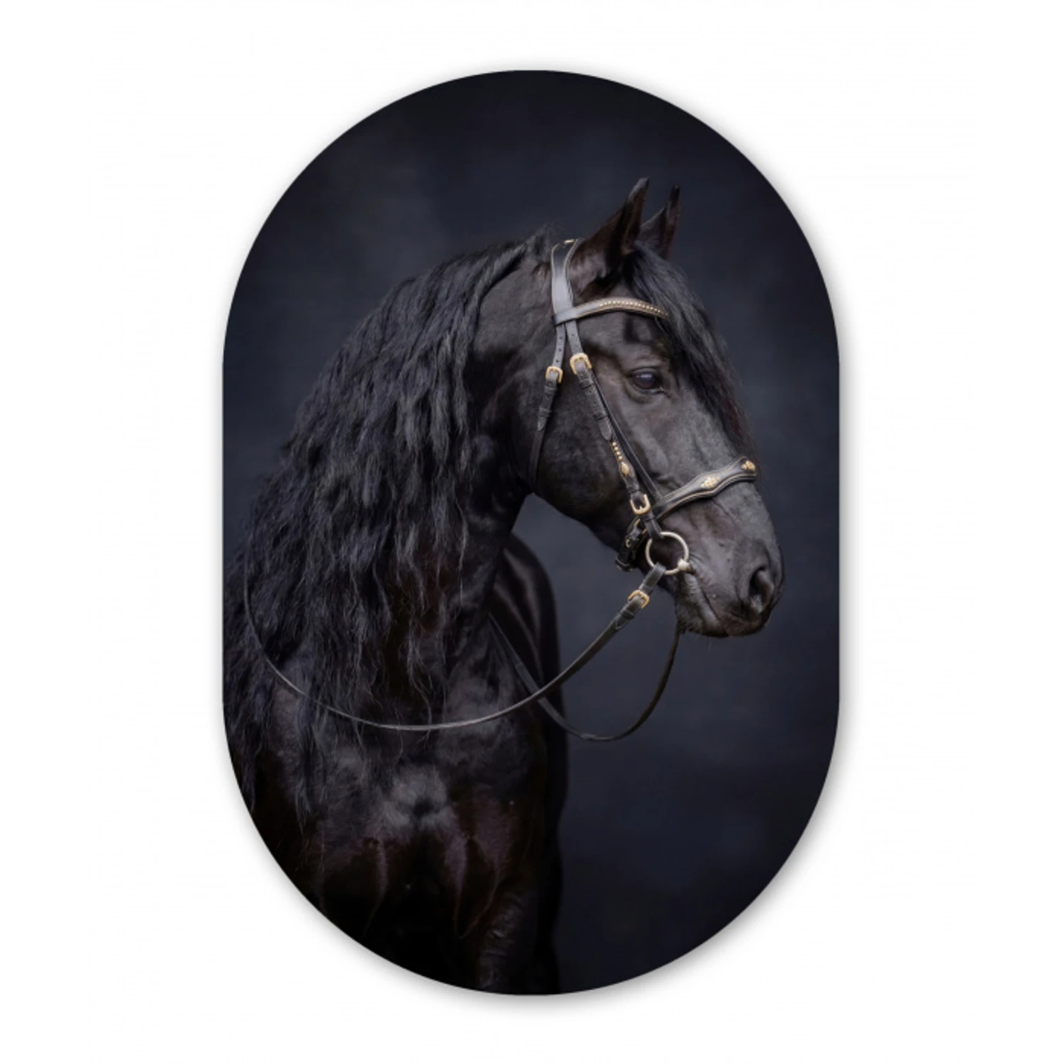 Portret - Paard - Donker Wandcirkel Ovaal Aluminium middel -3d