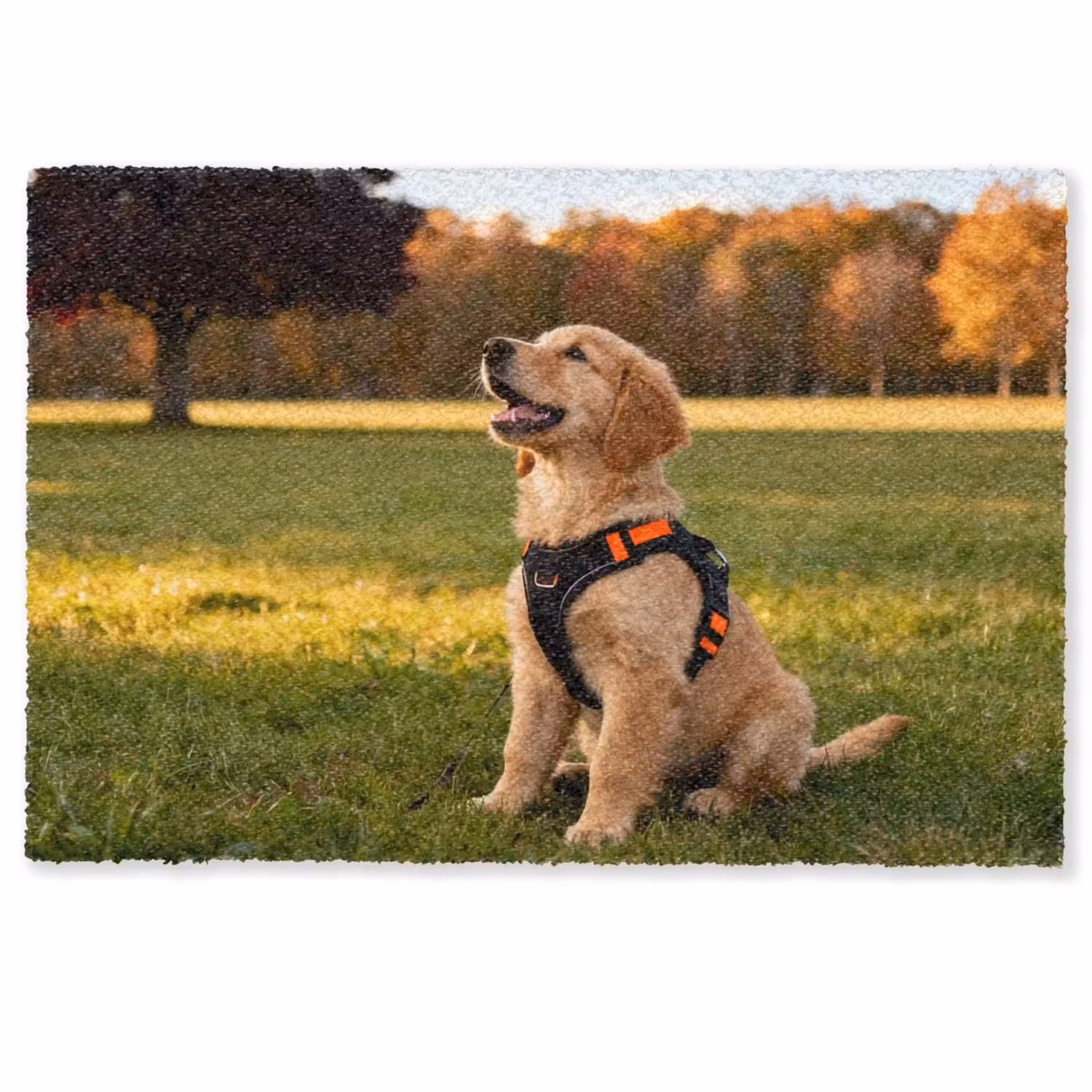 deurmat met eigen foto van hond