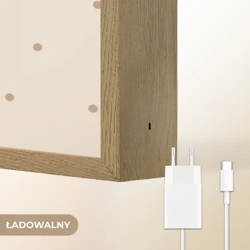 Hond - Gevlekt - Bruin - Stippen Light Box met batterij (Wandlamp kind) middel -USP_websiteoplaadbaarNL