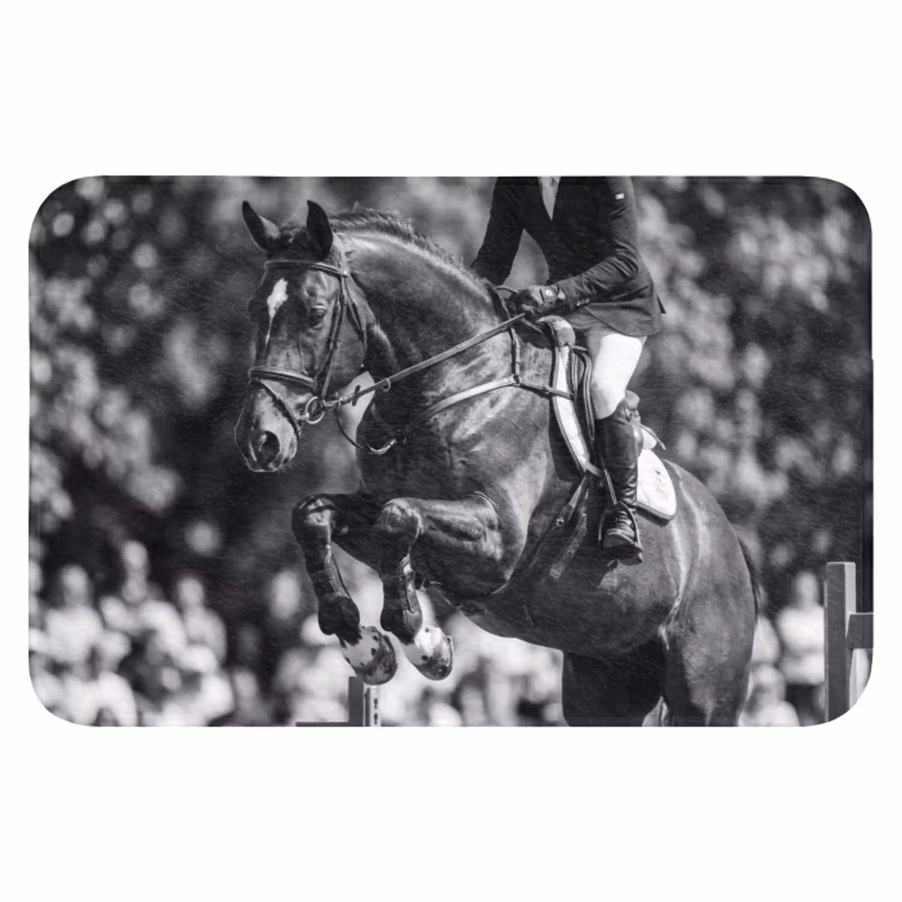 Springen - Paard - Zwart - Wit WCmat klein -3d