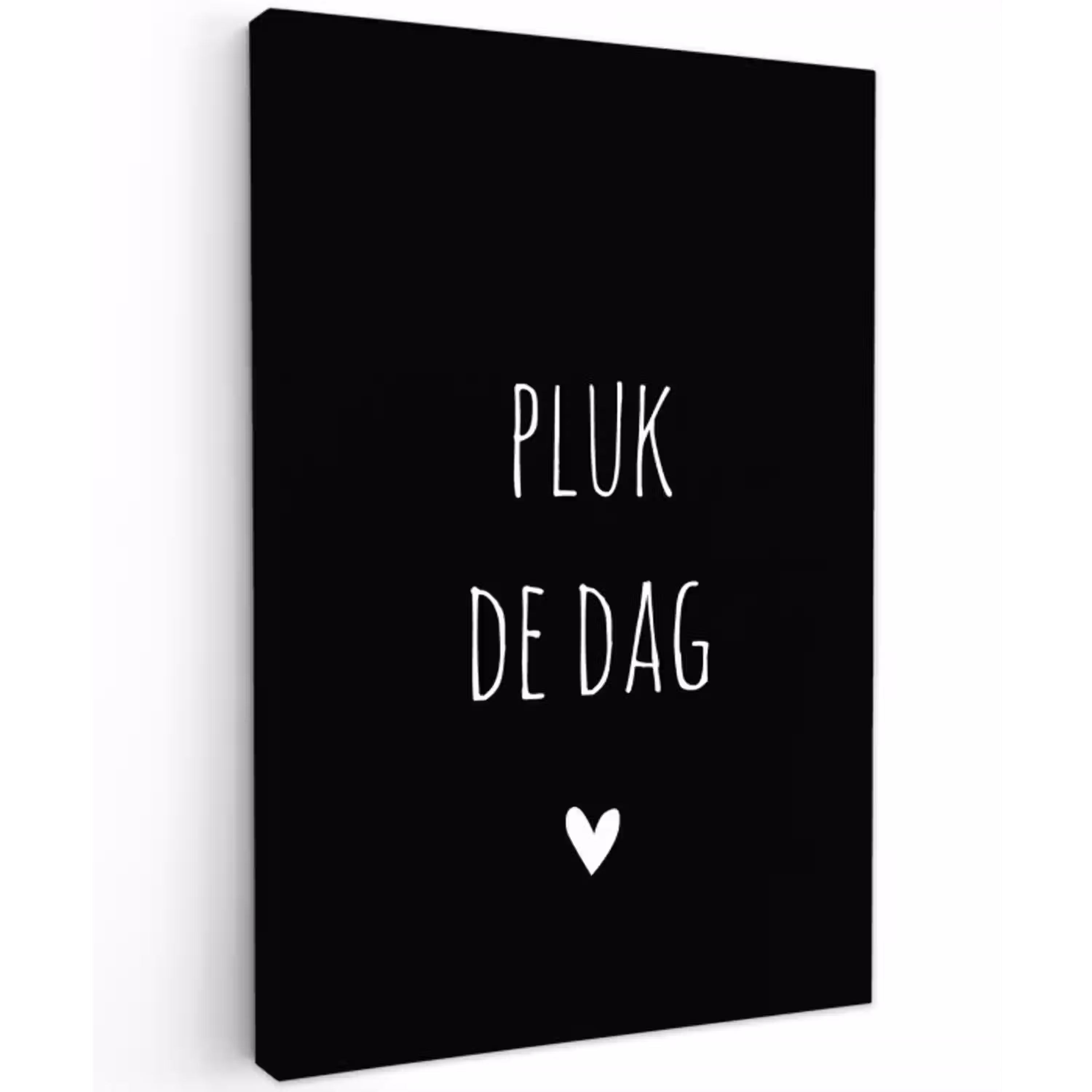 Quotes - Pluk de dag - Spreuken - Carpe diem Tuinposter op houten frame 2 cm dik klein -3d