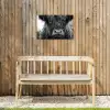 Schotse hooglander - Zwart - Wit - Sneeuwvlokken Tuinposter op houten frame 2 cm dik klein -sfeer4