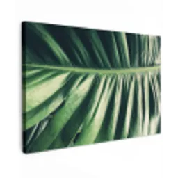 Bladeren - Tropisch - Jungle Tuinposter op houten frame 2 cm dik klein -3d