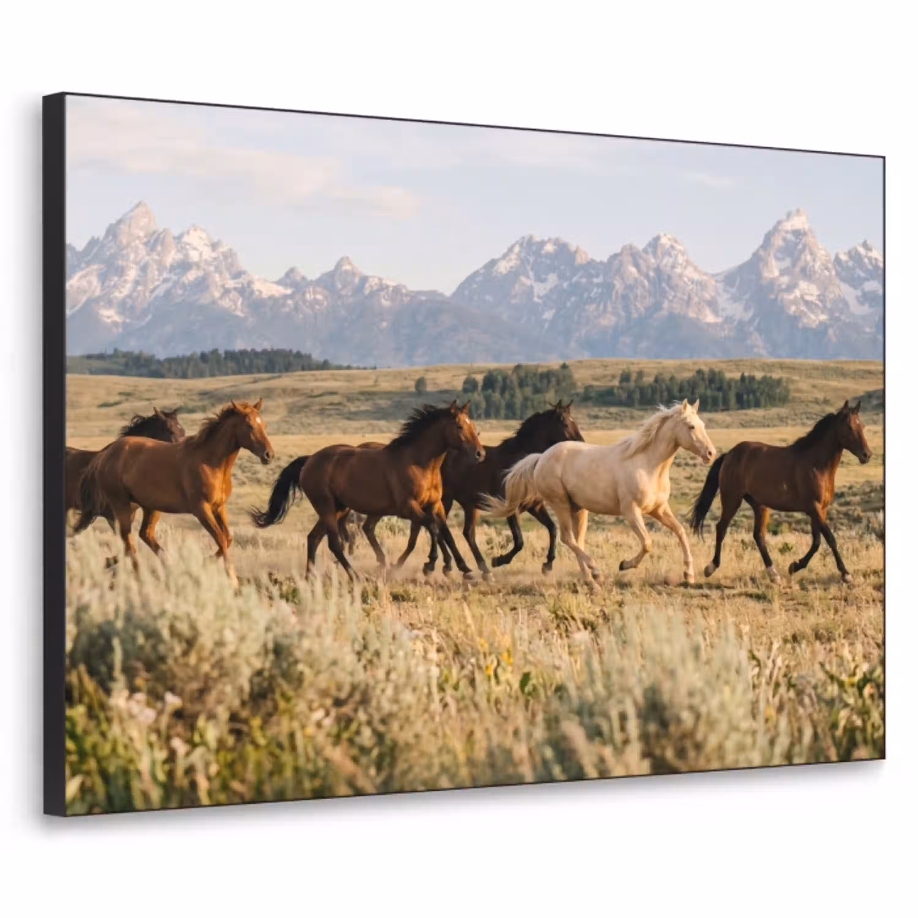 Paarden - Kudde - Bergen - Vrijheid - Wild Textielframe zwart klein -3d