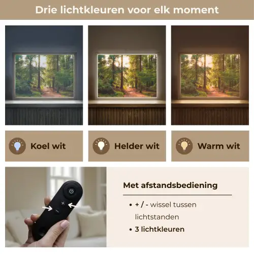Bos - Pad - Bomen - Groen - Zon - Natuur Light Box met batterij (Wandlamp) middel -USP_lichtkleurNL