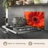 Oranje - Gerbera - Intens keuken achterwand spatscherm klein -usp_NL