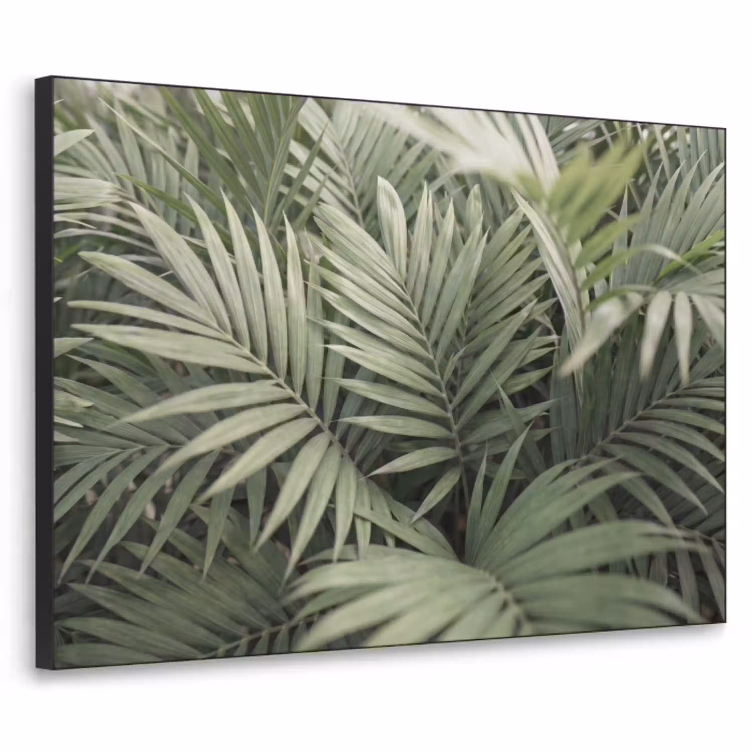 Plant - Palmbladeren - Natuur - Groen Textielframe zwart klein -3d