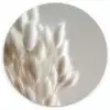 Pluimen - Beige - Minimalistisch Wandcirkel kunststof plaat 5mm dik klein -3d