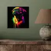 Puck - Hond - Verf - Kleuren aluminium wit klein -sfeer2