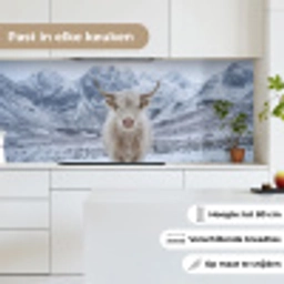Schotse Hooglander - Sneeuw - Bergen - Winter keuken achterwand 2 middel -sfeer4_NL