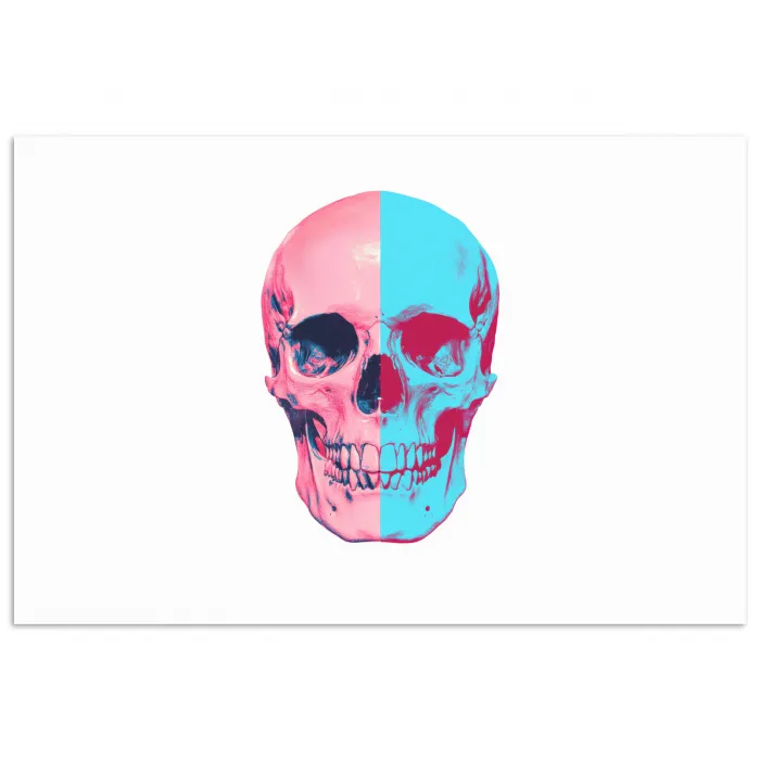 Schedel - Grafisch - Roze - Verdeeld poster papier klein -3d