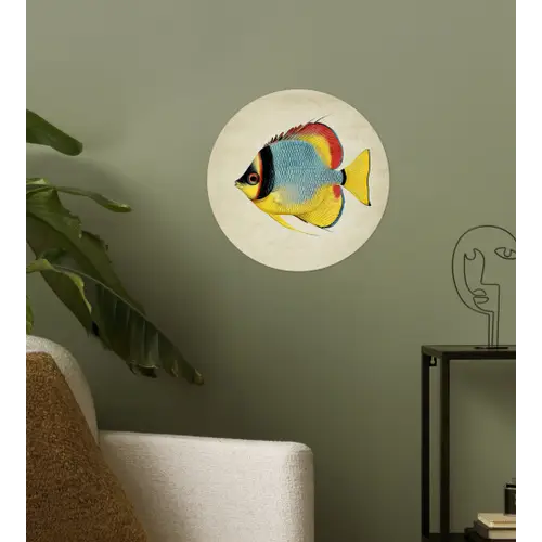 Kleurrijk - Vis - Schubben - Illustratie Wandcirkel behangsticker klein -sfeer2