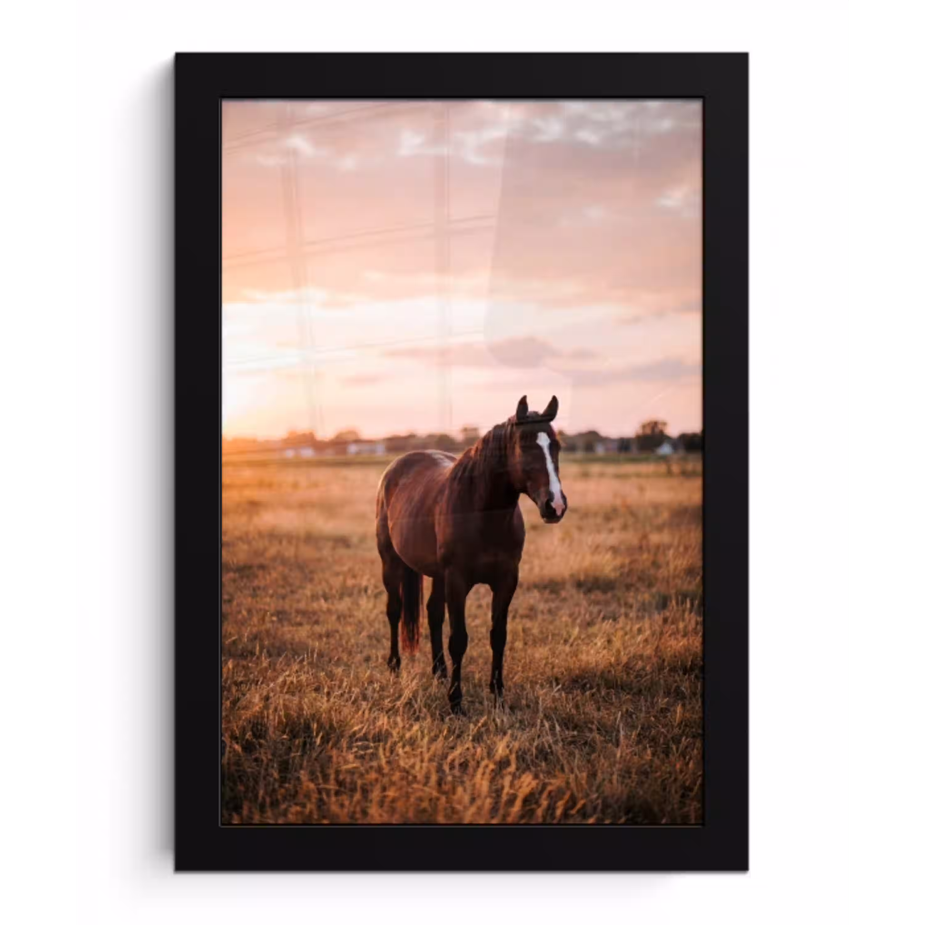 Paard - Zonsondergang - Bruin fotolijst zwart zonder passe partout klein -3d