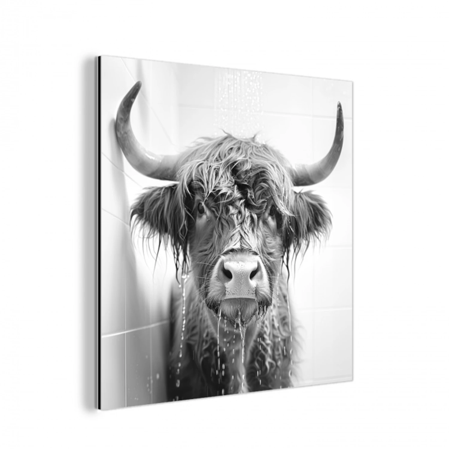 Schotse Hooglander - Dier - Douche - Humor aluminium wit klein -3d