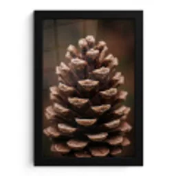 Dennenappel - Bos - Herfst - Bruin - Sfeervol fotolijst zwart zonder passe partout klein -3d