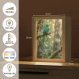 Quetzal - Jungle - Natuur - Groen Light Box met kabel (Kinderlampje) klein -USP_FR